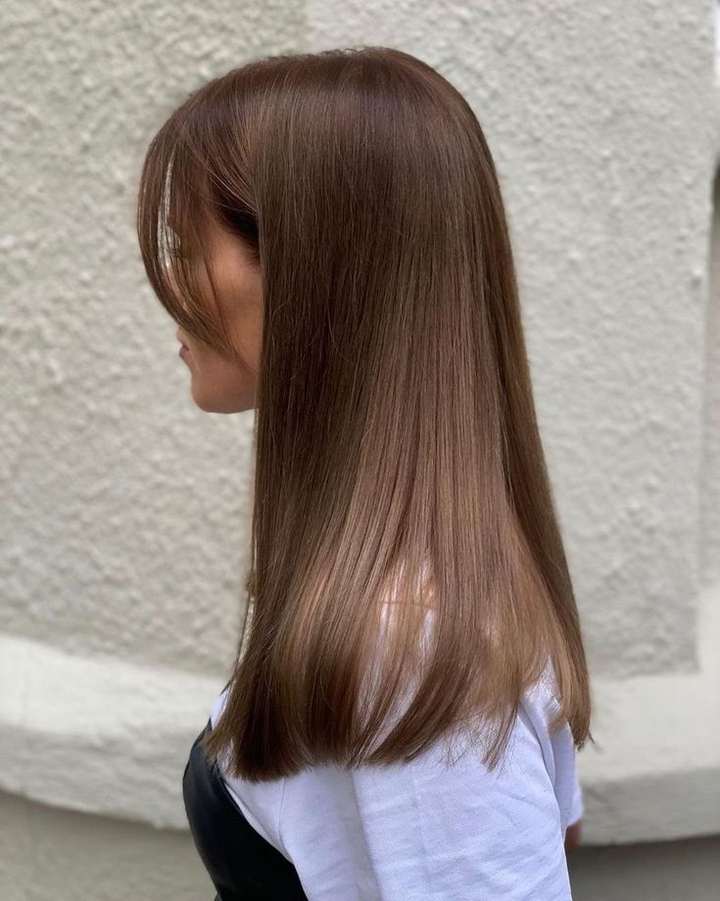 Melena, pelo limpio, pelo