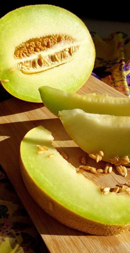 Melón