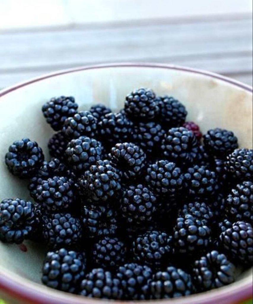 Moras