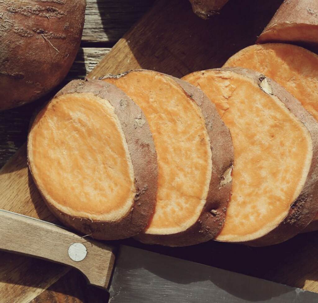 Alimentos entrenamiento