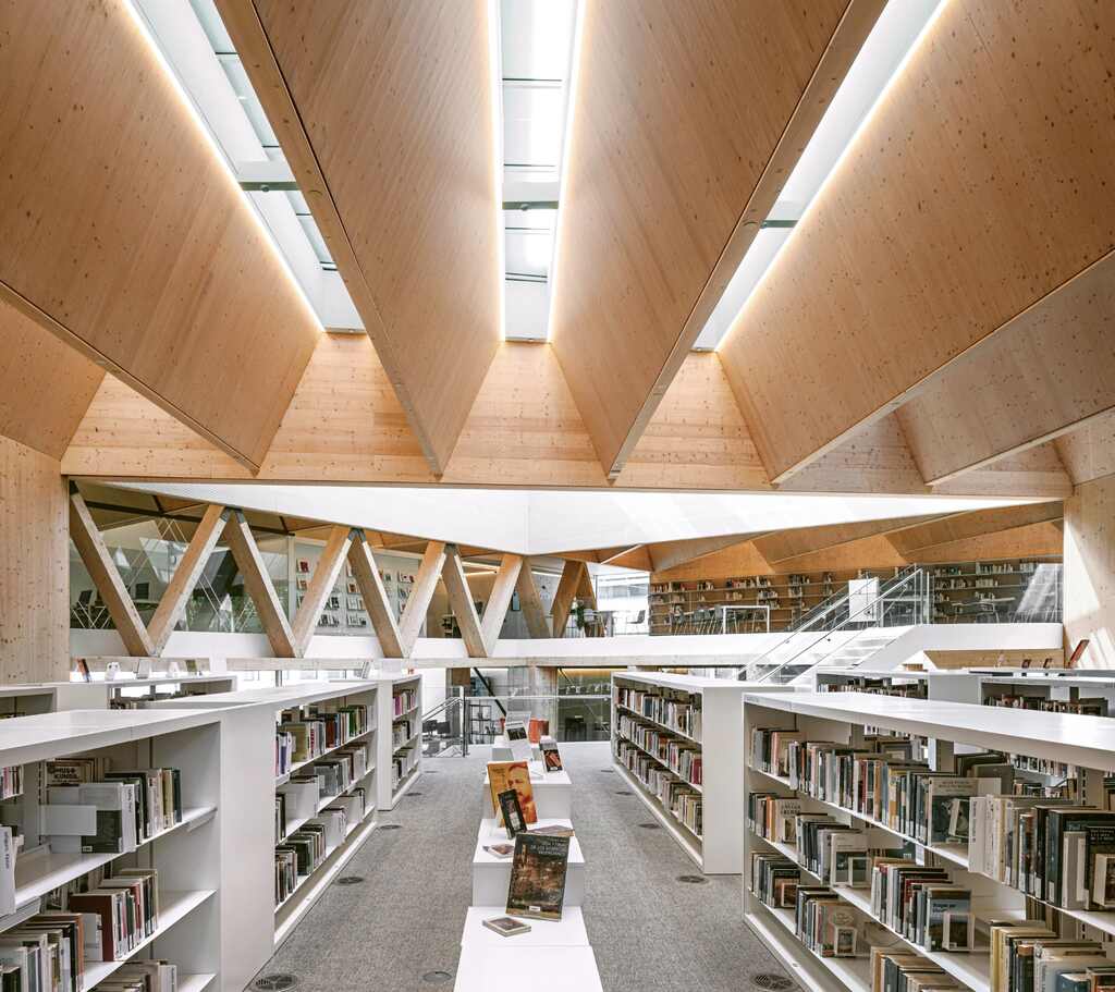 Biblioteca 