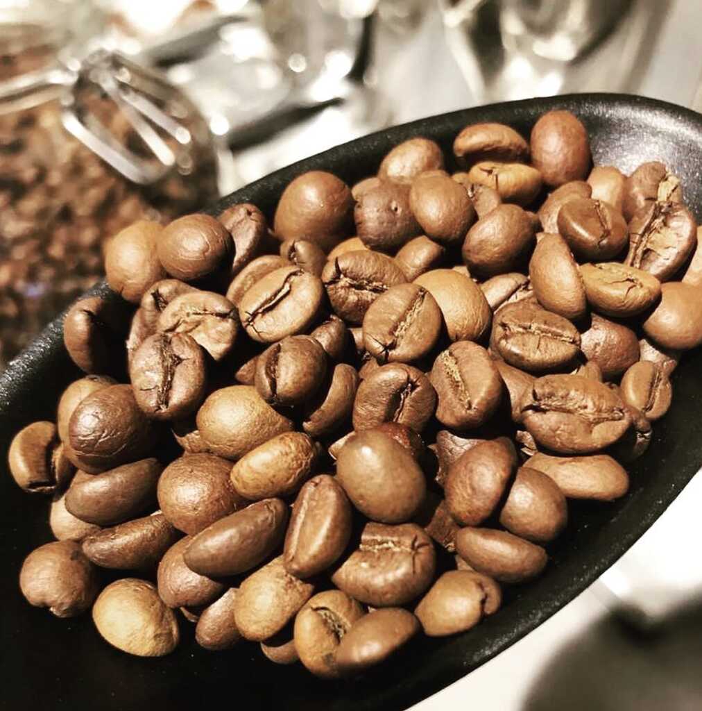 Café torrefacto
