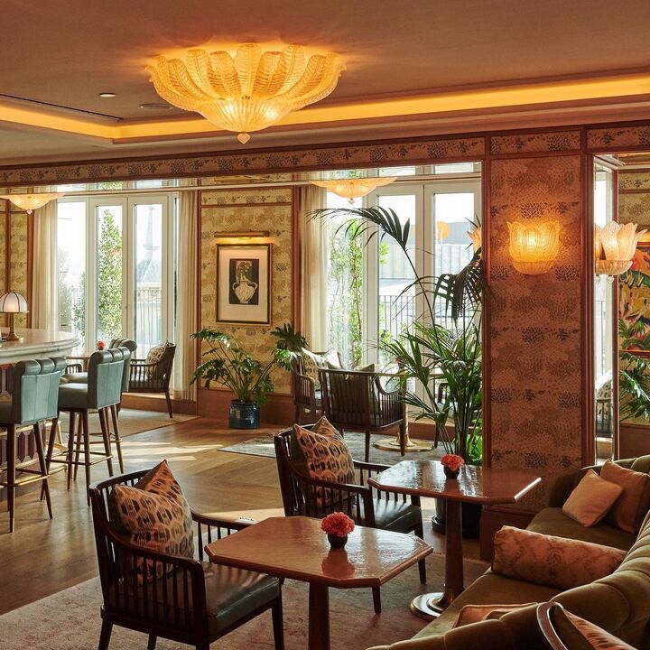 Dani Brasserie