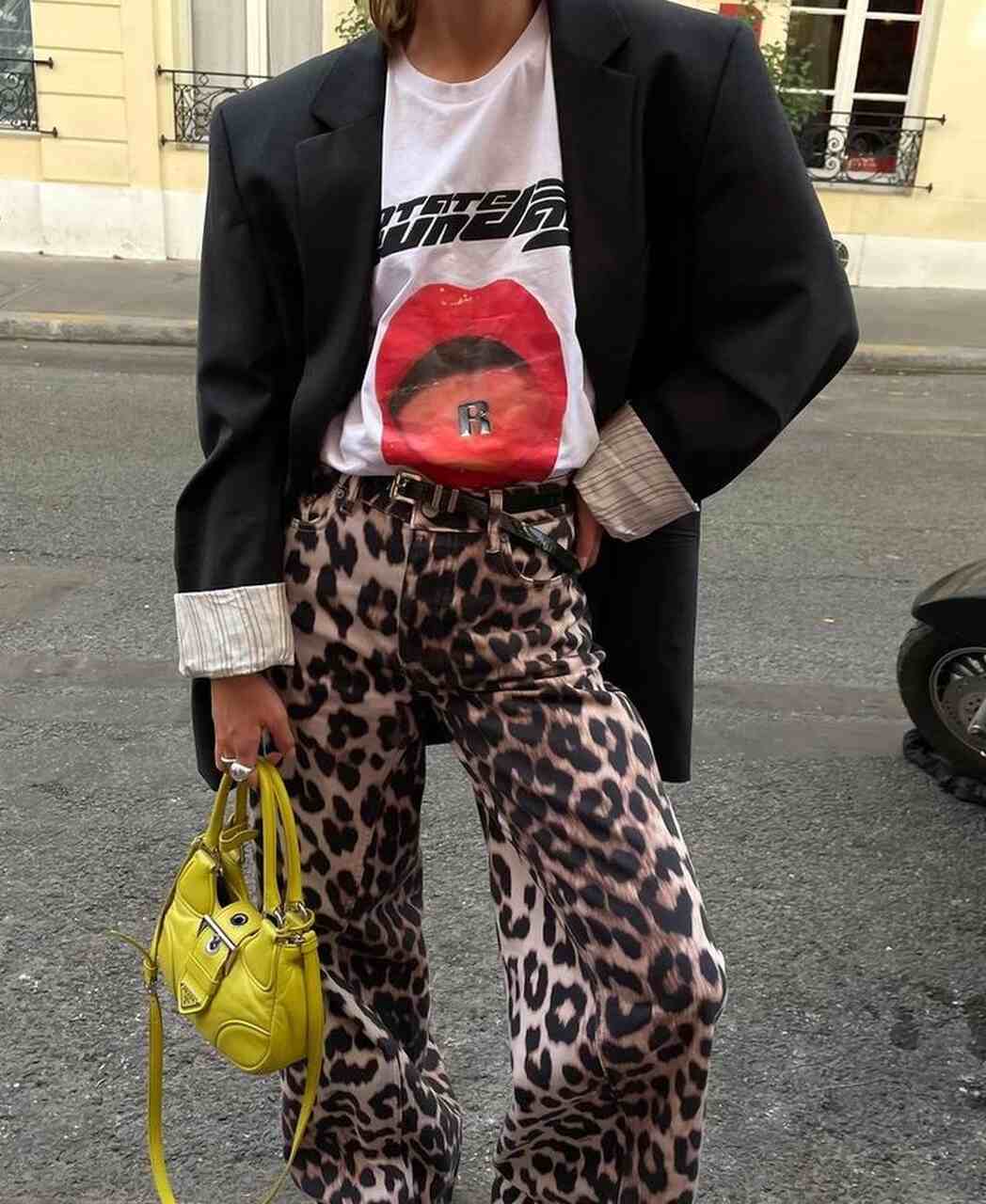 animal print