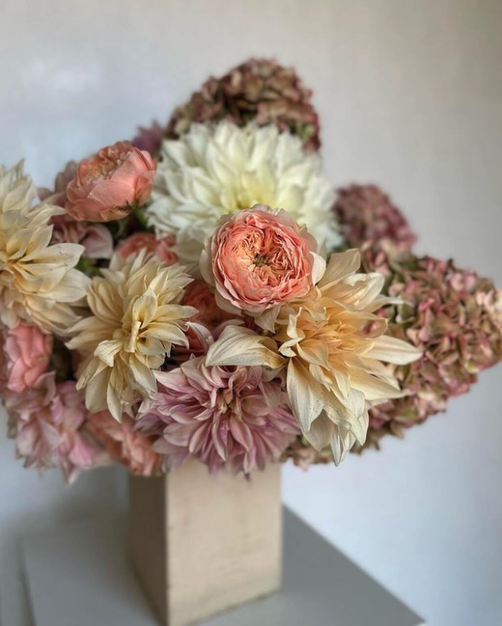 regalar flores
