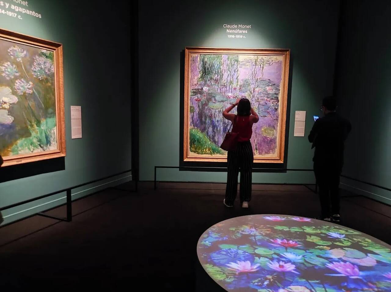 Amor entre nen&uacute;fares, Claude Monet, Arte, Exposici&oacute;n Madrid, CentroCentro
