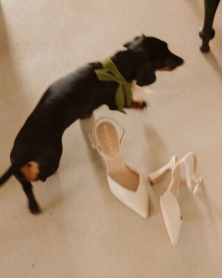 Zapatos de novia