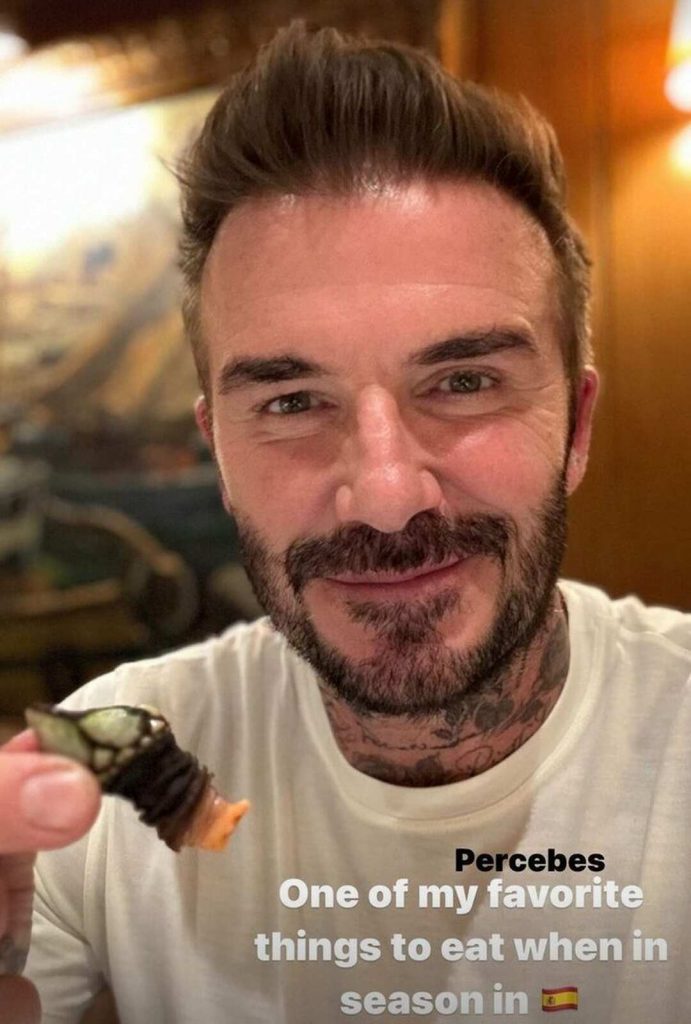 David Beckham percebes