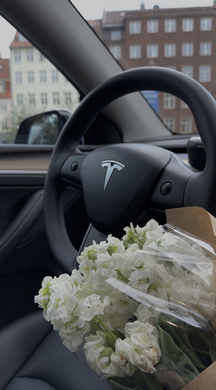 velocidad coche el&eacute;ctrico