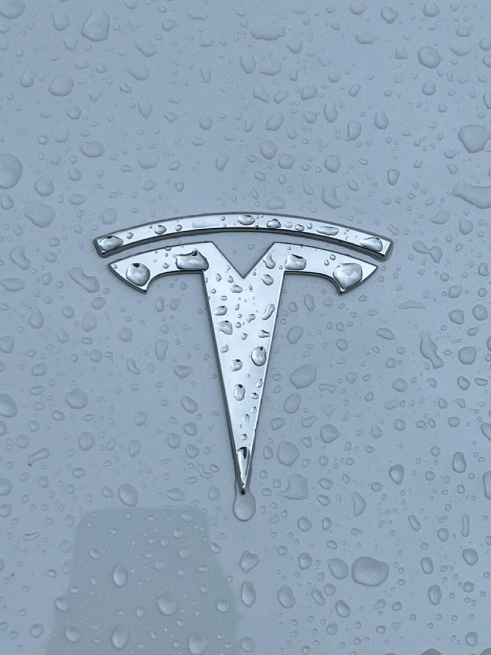 tesla modelos