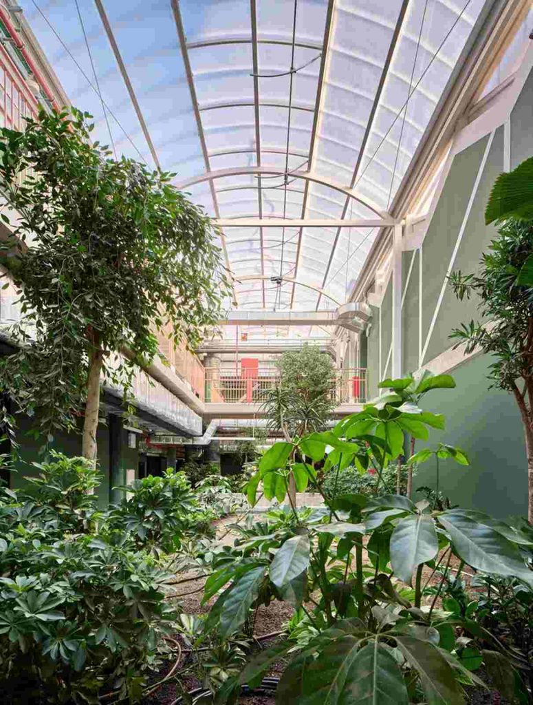 Bosque Colegio Reggio