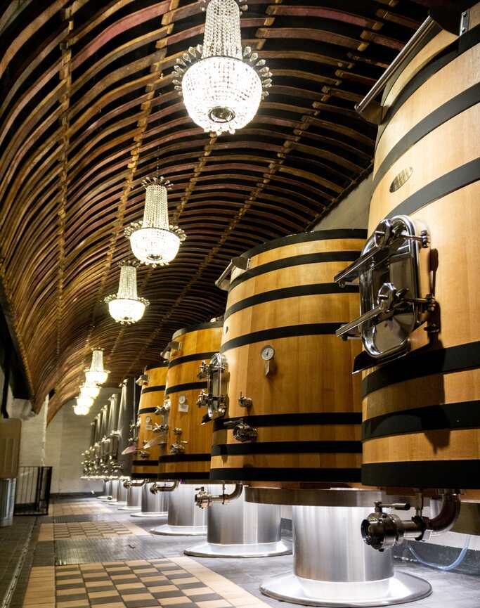 Visita bodegas
