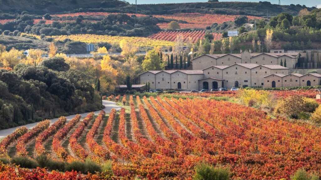 Visita bodega