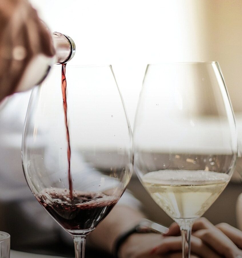 Cata vinos