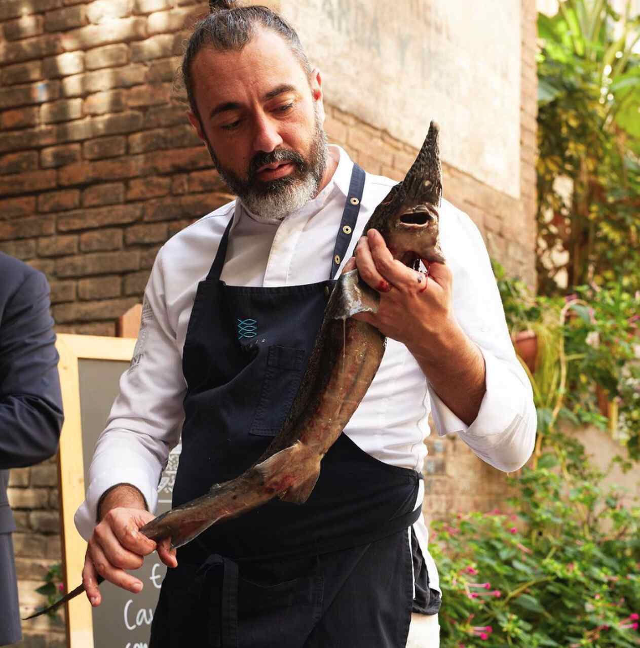 rafa zafra