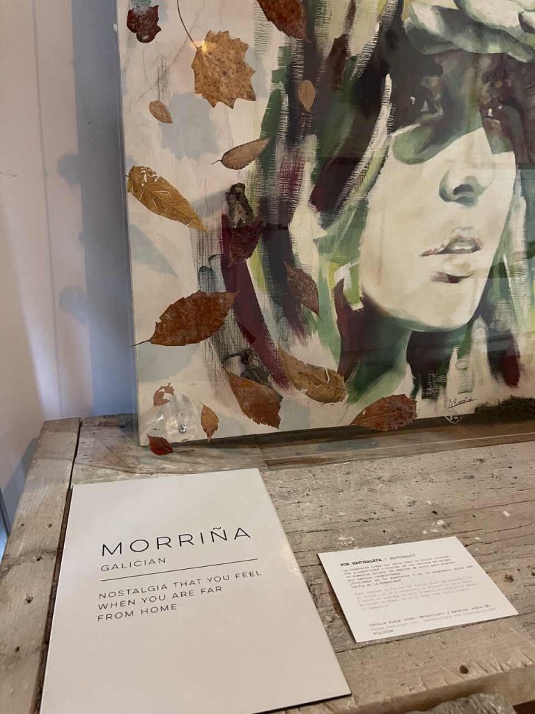 Exposici&oacute;n Fieras y Felinas en Felina Ceramics