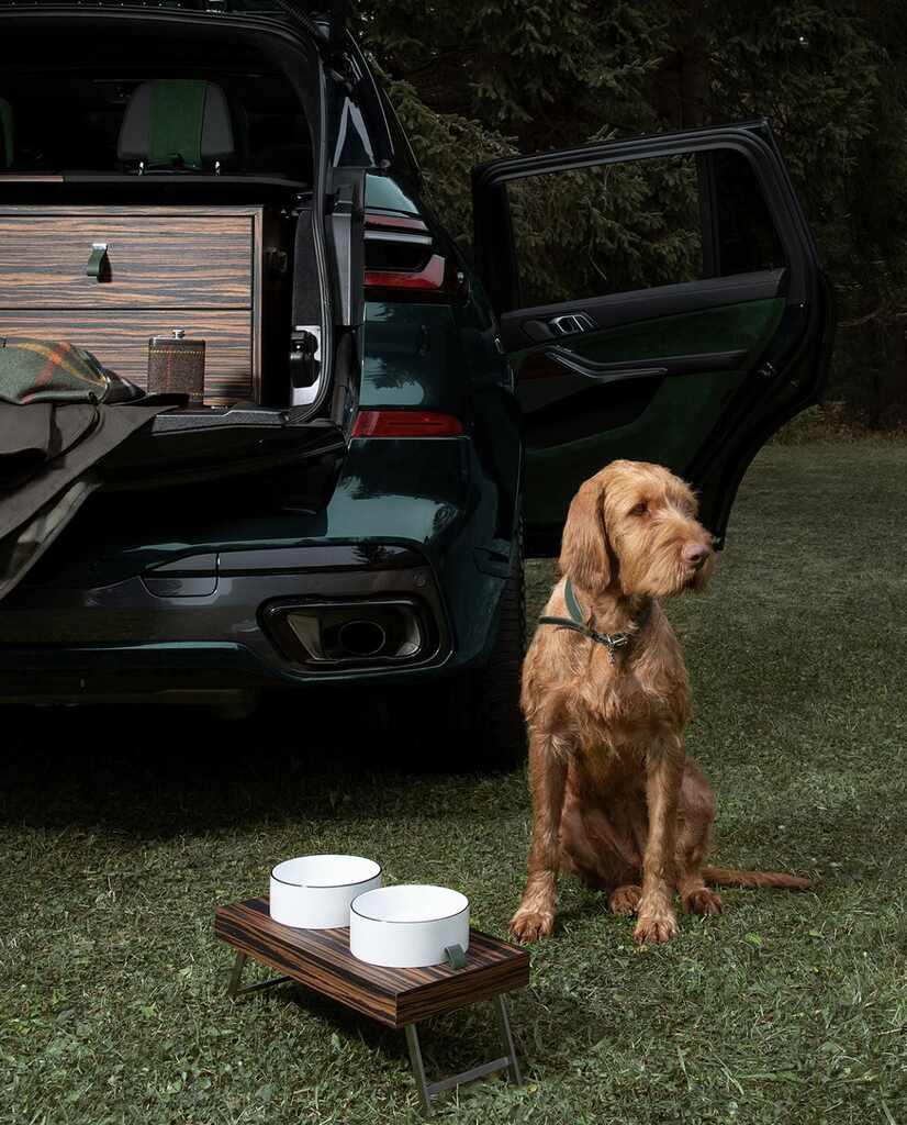 BMW Accesorios mascotas