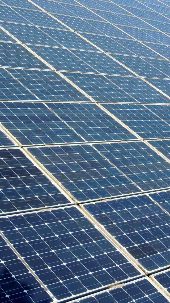 Leonardo DiCaprio placas solares