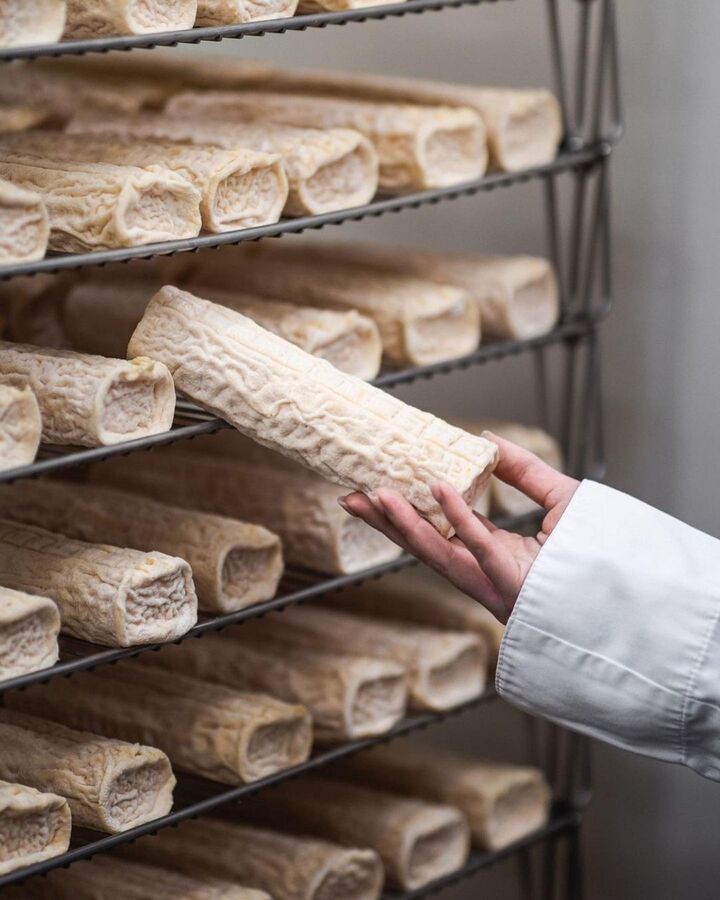 Queser&iacute;a Cultivo, queso Chamber&iacute;