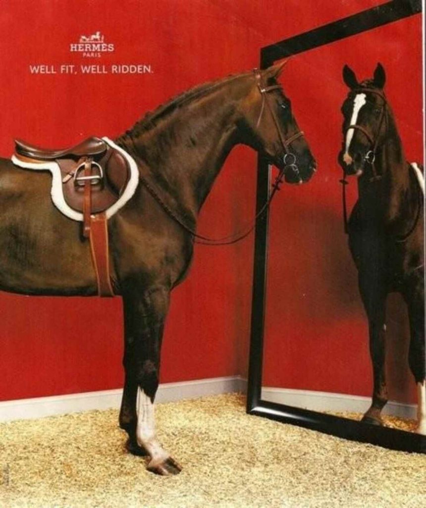 Arneses de Herm&egrave;s