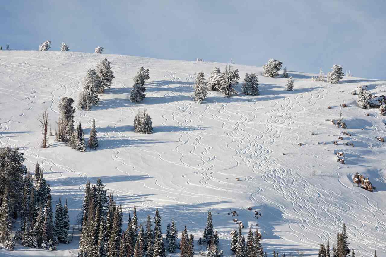 Reed Hastings, Powder Mountain