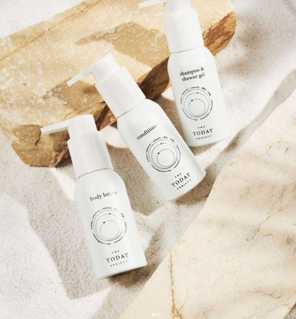  the today project productos