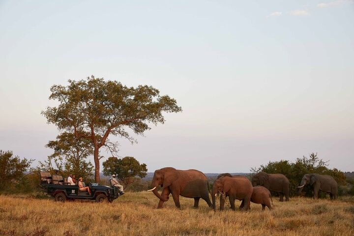 Londozi, Sudáfrica