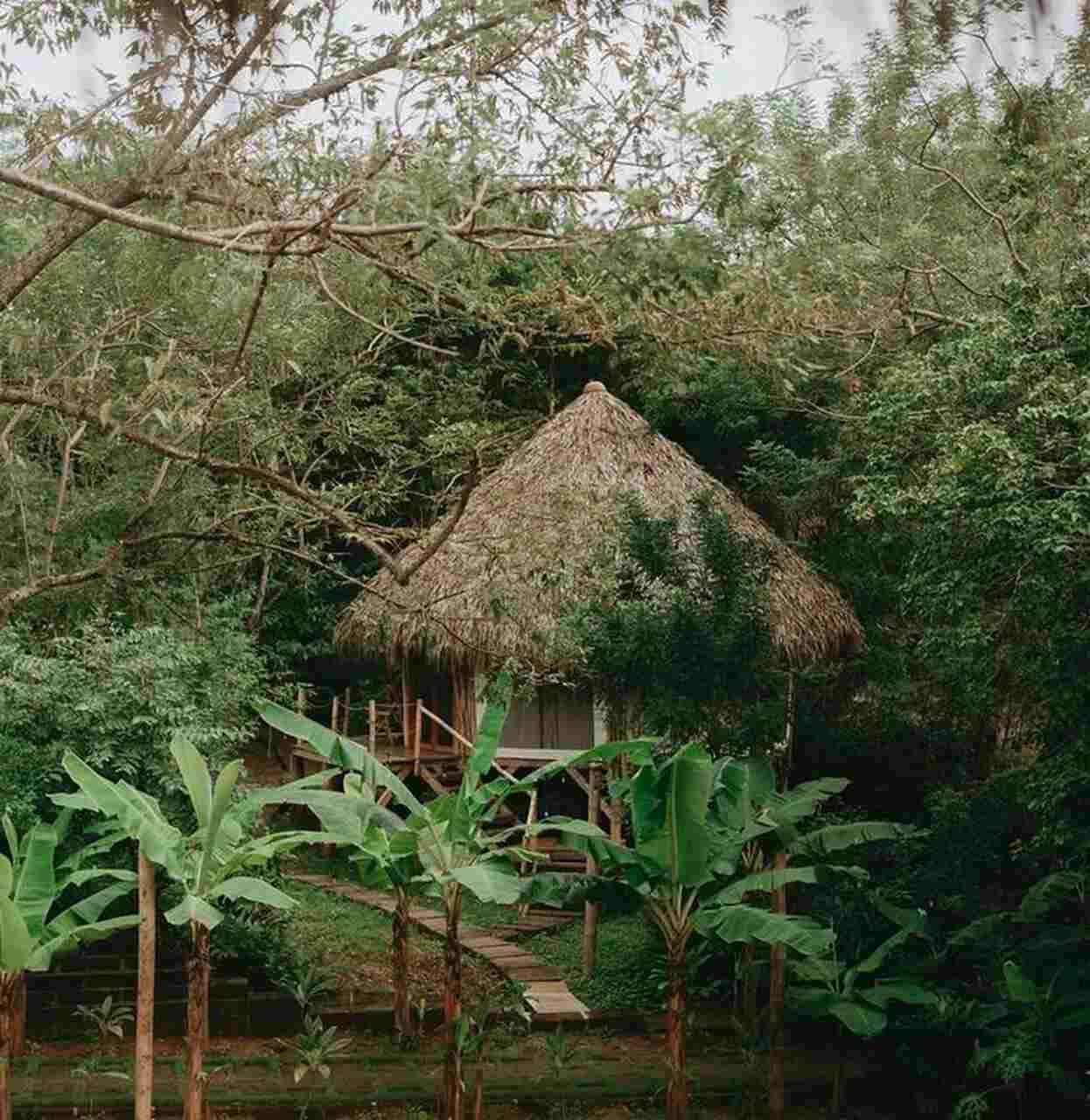 camping de lujo