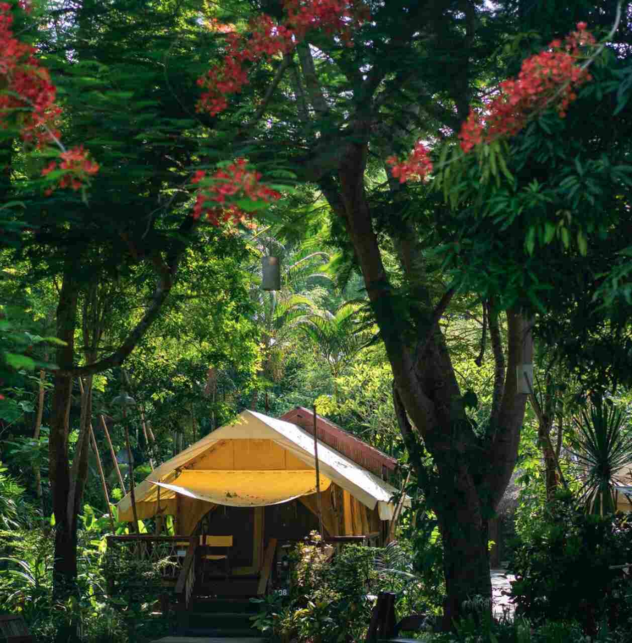 camping fin de semana