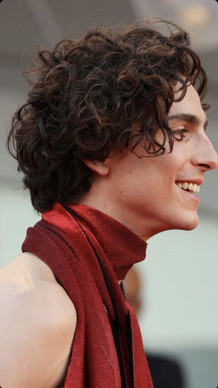timoth&eacute;e chalamet