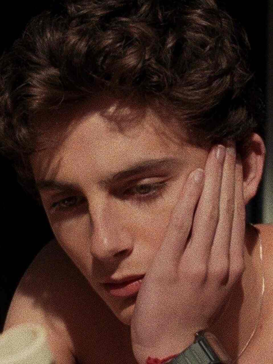 timoth&eacute;e chalamet actor
