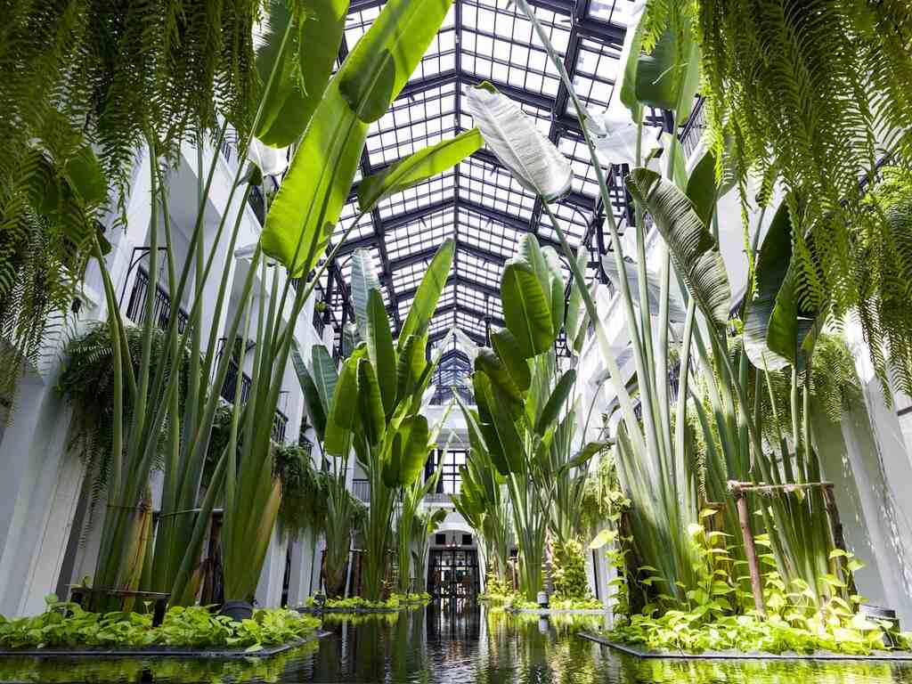 Hoteles de lujo Tailandia