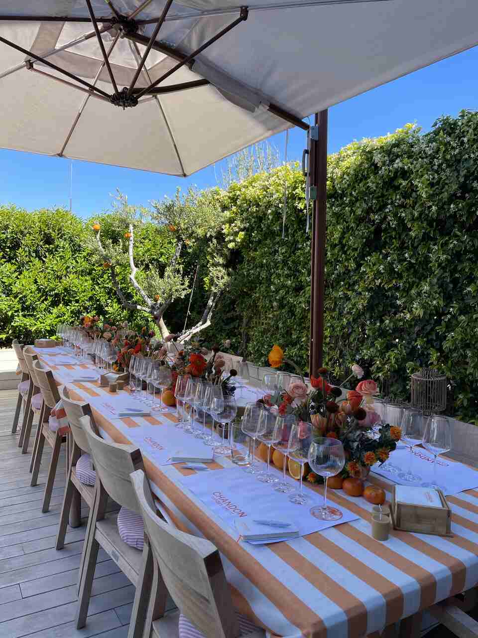 Chandon Garden Spritz, vino espumoso, bebida refrescante, Chandon, vino