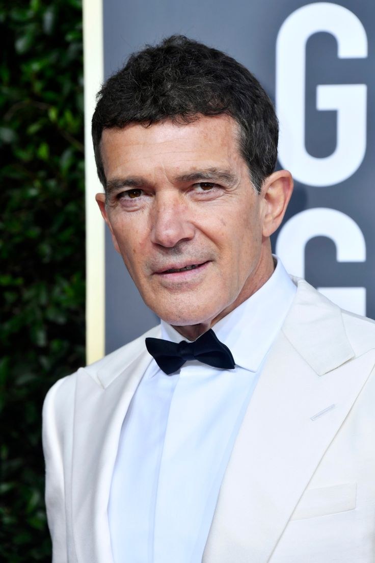 antonio banderas madrid propiedades