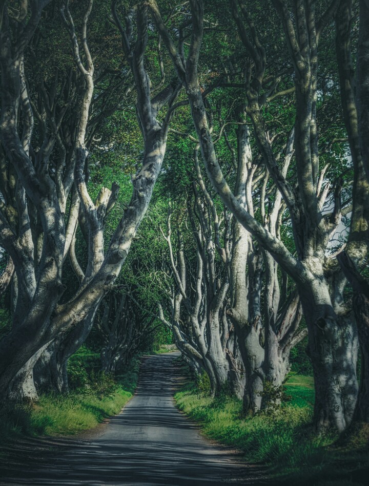 Ballymoney, Irlanda del norte, calle bonita