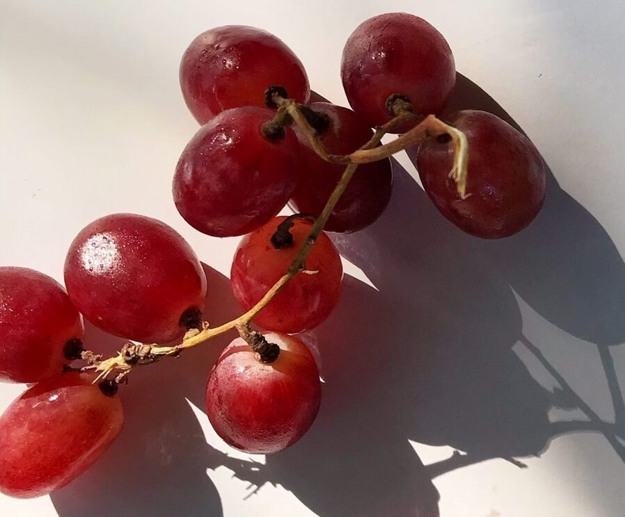 Vino Rosado