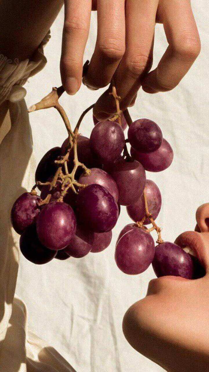 alimentaci&oacute;n