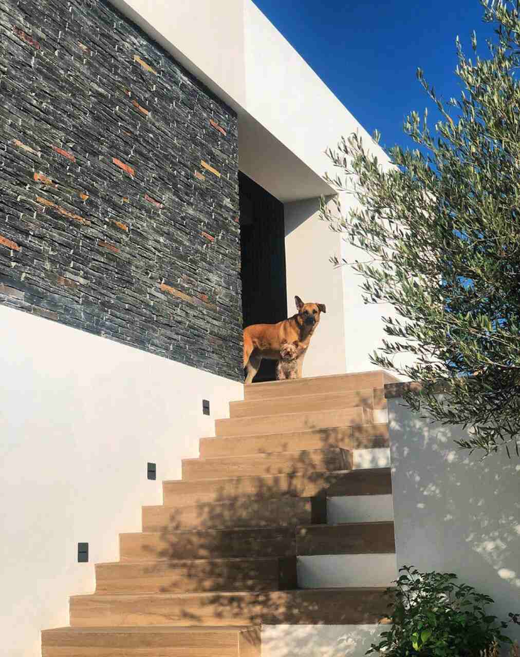 rudy fernandez casa