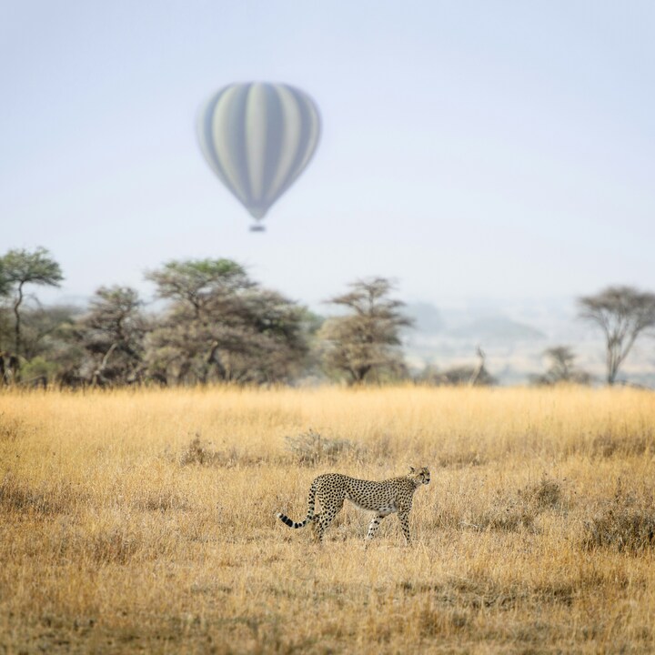 Tanzania