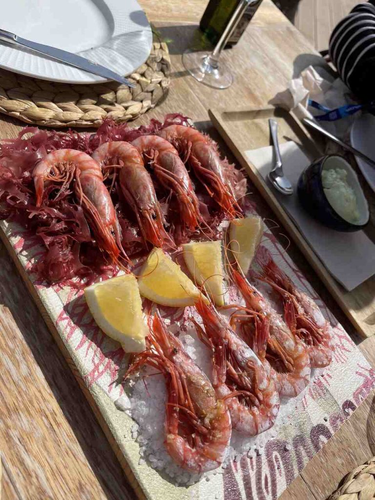 Propuesta gastro en el Seahorse Ibiza