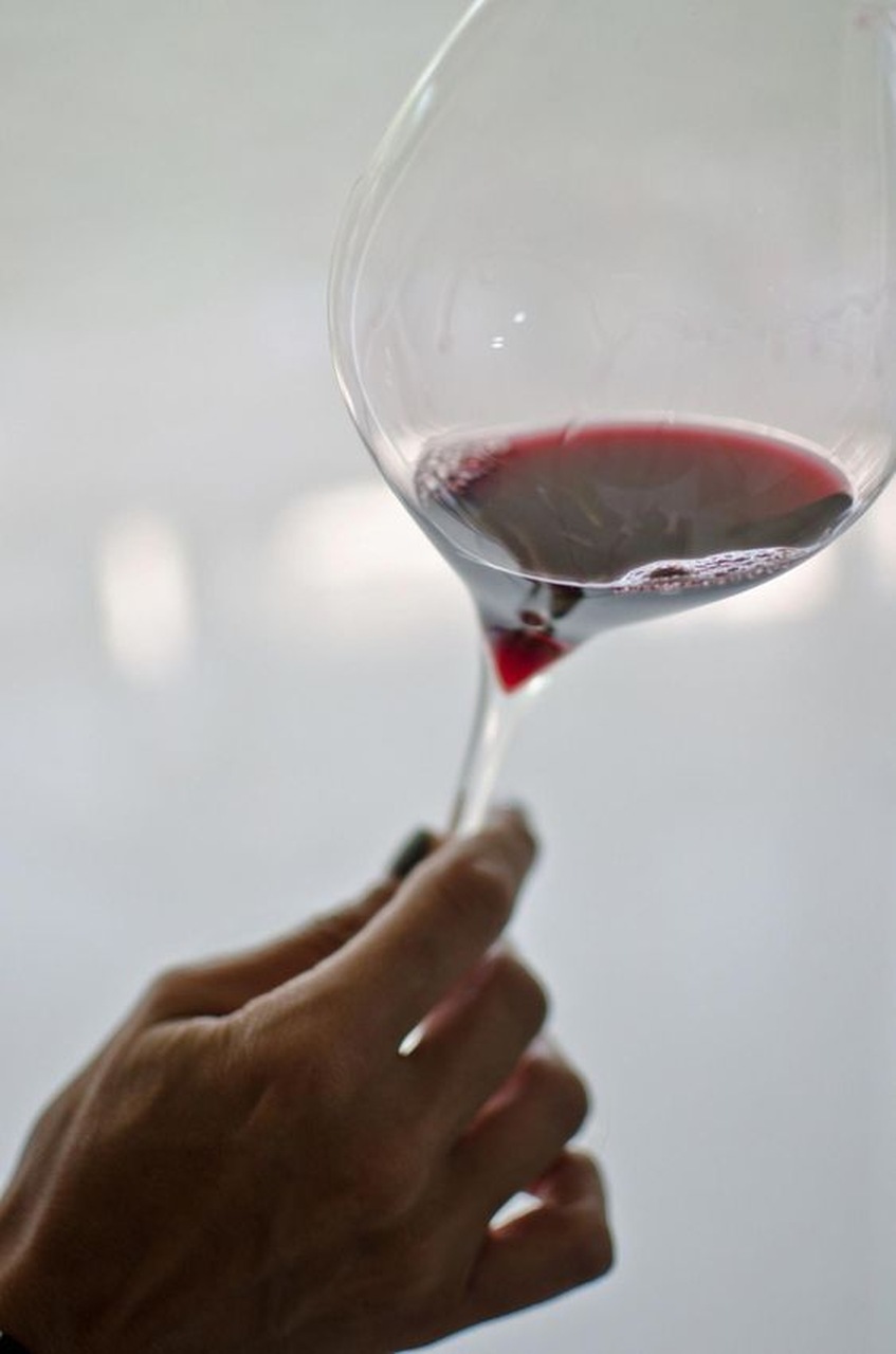 Vino, vino tinto, copa