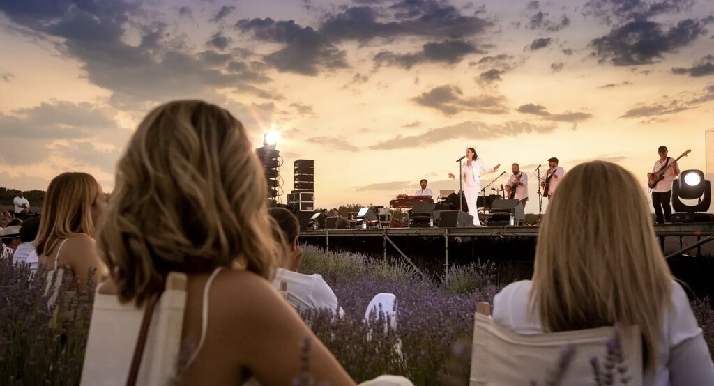 Festival de la Lavanda