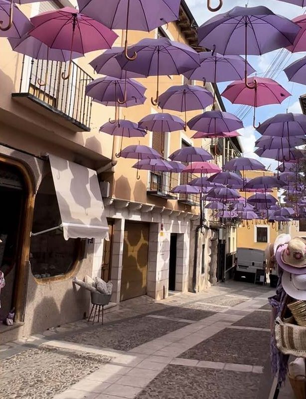 Brihuega campos de lavanda