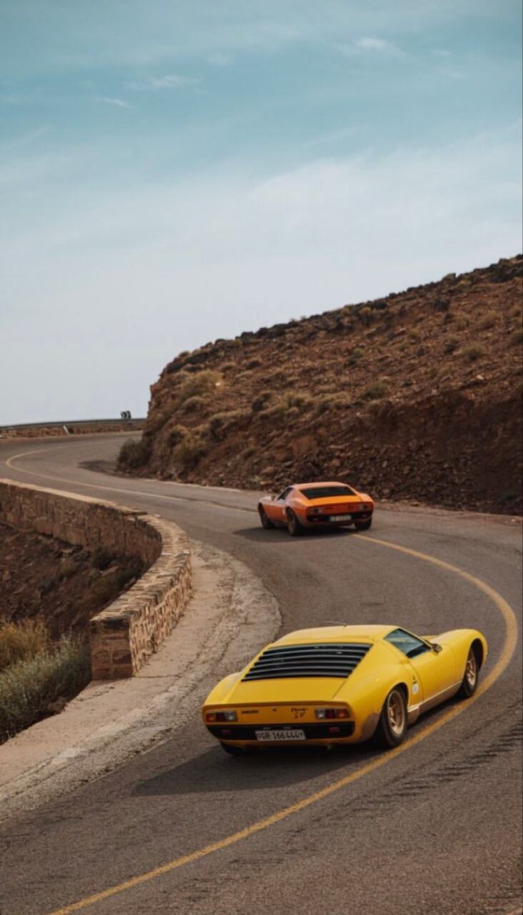 miura s