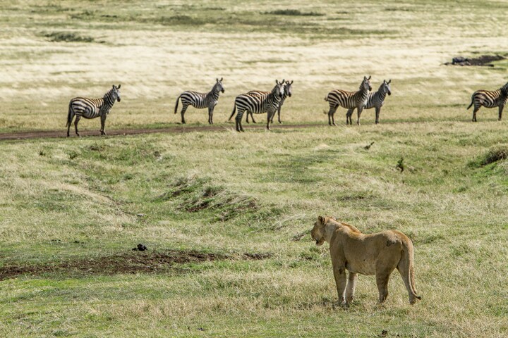 Tanzania