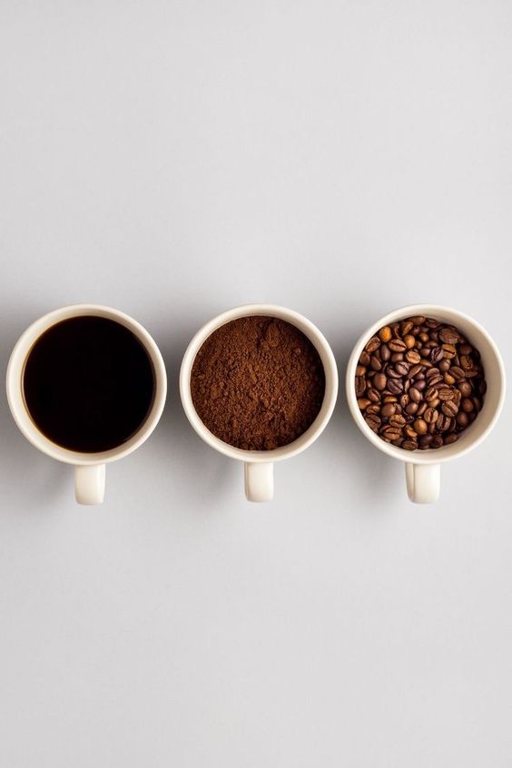 caf&eacute;, illy, granos de caf&eacute;, planta del caf&eacute;