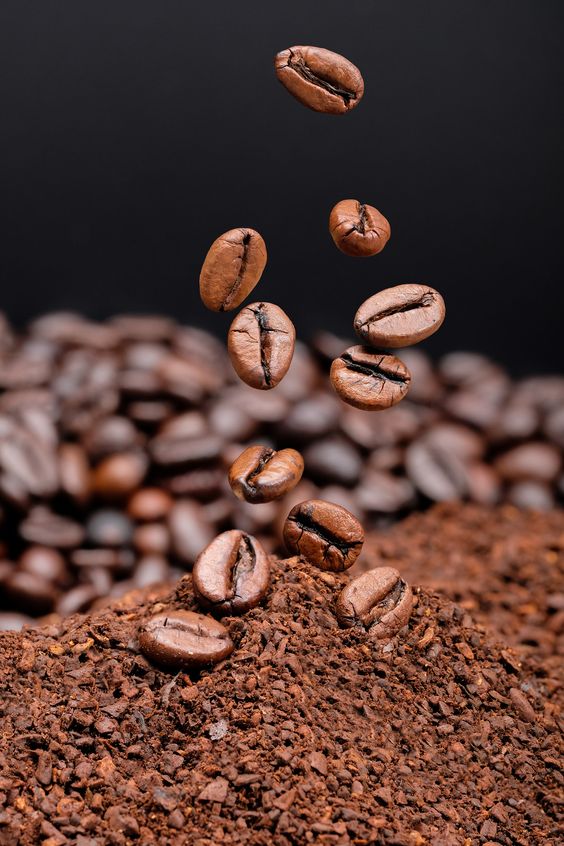caf&eacute;, illy, granos de caf&eacute;, planta del caf&eacute;