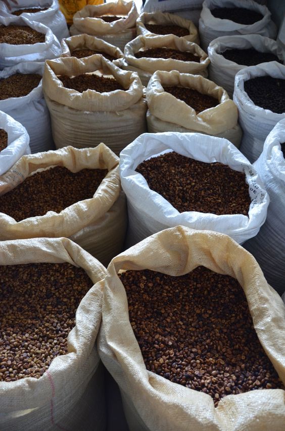 caf&eacute;, illy, granos de caf&eacute;, planta del caf&eacute;