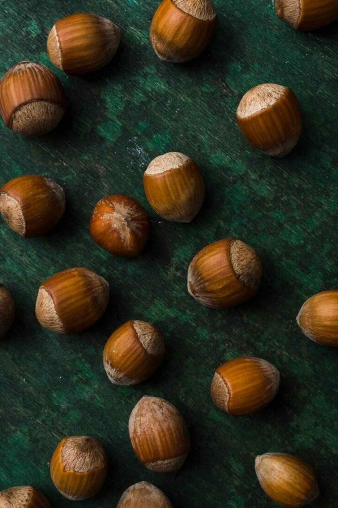 Casta&ntilde;as en fondo verde