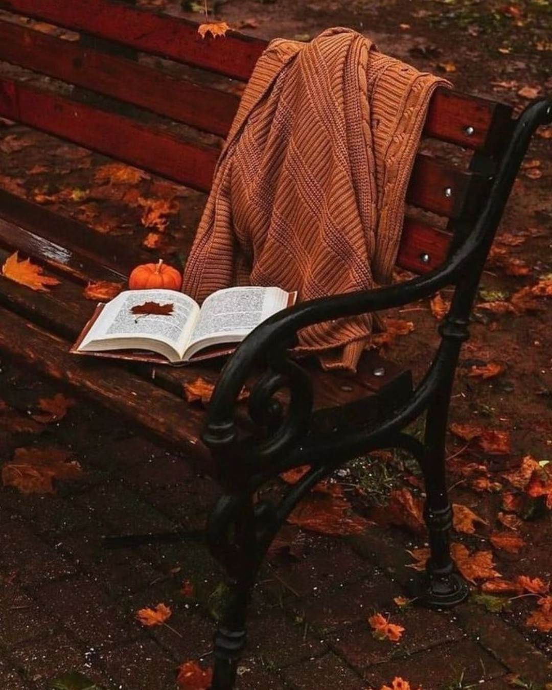 libros oto&ntilde;o